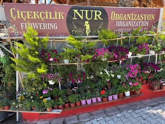 Lycian Center 호텔 *