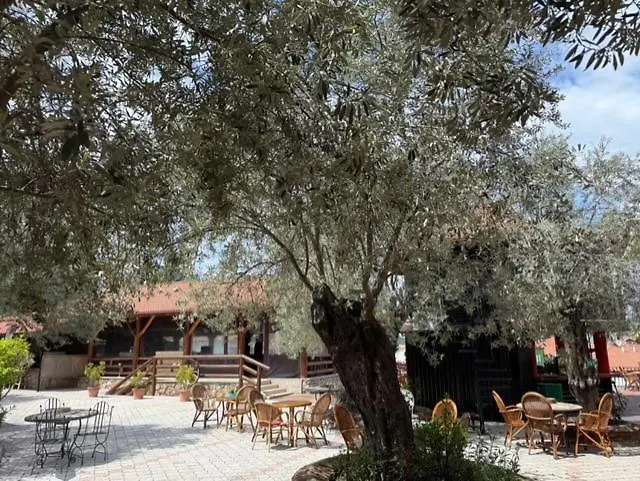 Lycian Center 호텔